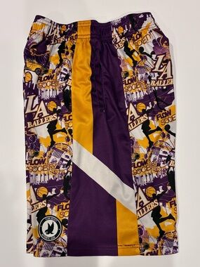 Boys great condition Flow Society Shorts sz. Y Large